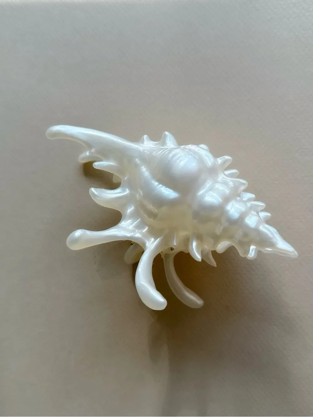Shell Hair Claw Clip S1410